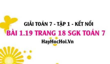 Giải bài 1.19 trang 18 Toán 7 Tập 1 SGK Kết nối tri thức